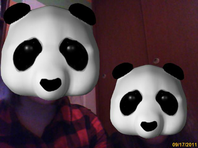 pandy