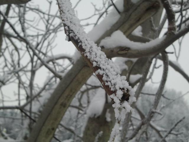 258. NIEG : D