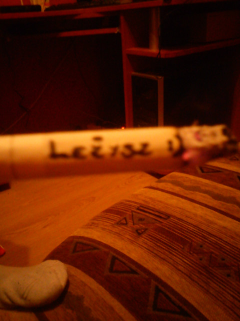Leysz