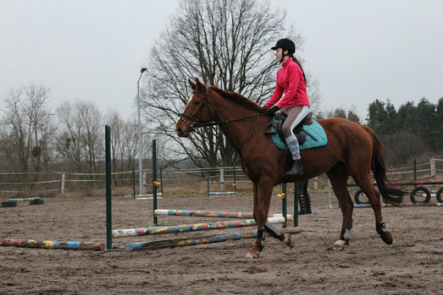 Wpis horsesandtheyonly