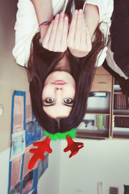 ja renifer