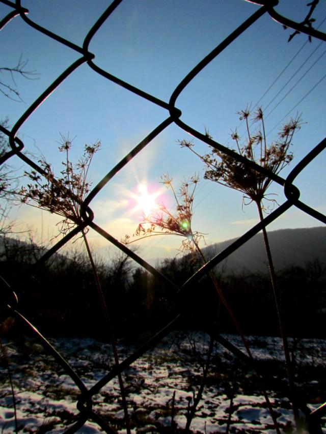 Free...