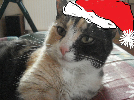 ho ho ho!