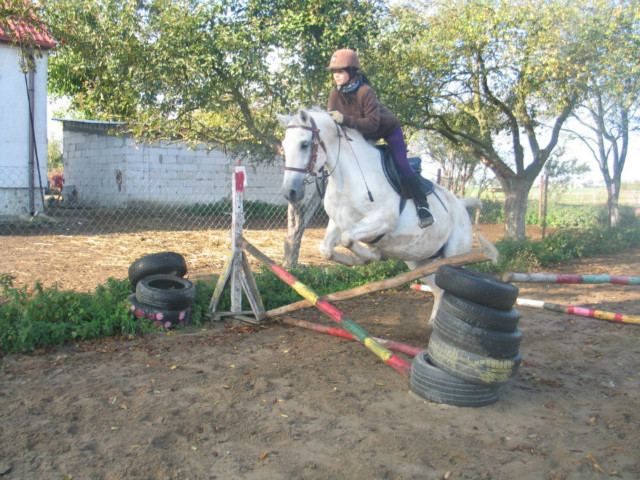 Wpis horsehorse