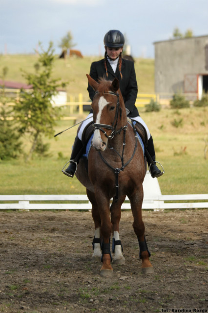 Hubertus Grodno Dwr 2011r.
