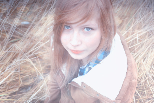 Wpis shevy