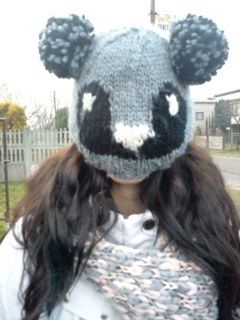 KOALA xD