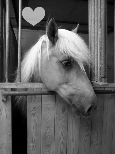 Prince :*** 