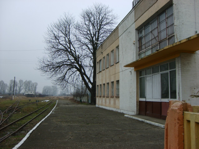 Peron 1 Kroniewice
