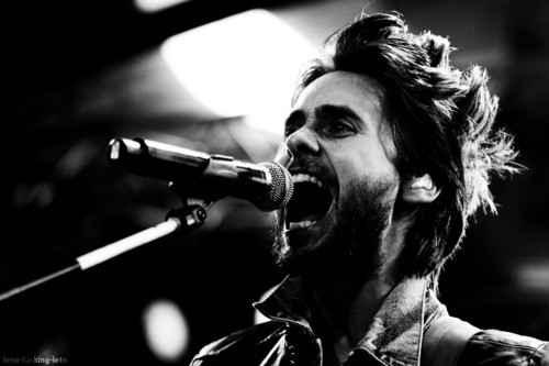 Wpis only30stm
