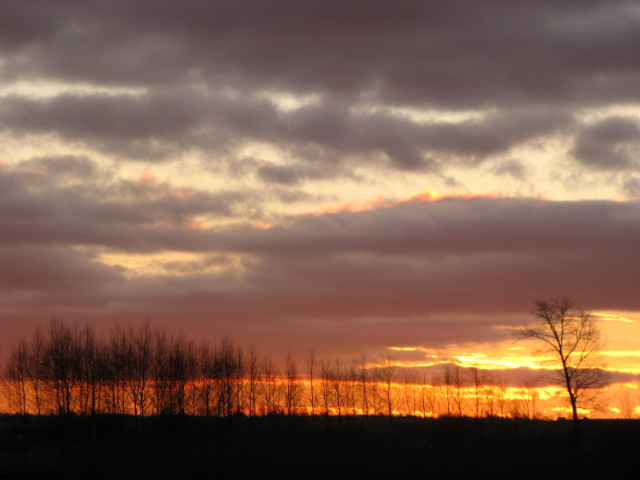 All izz well - 29.12.2011