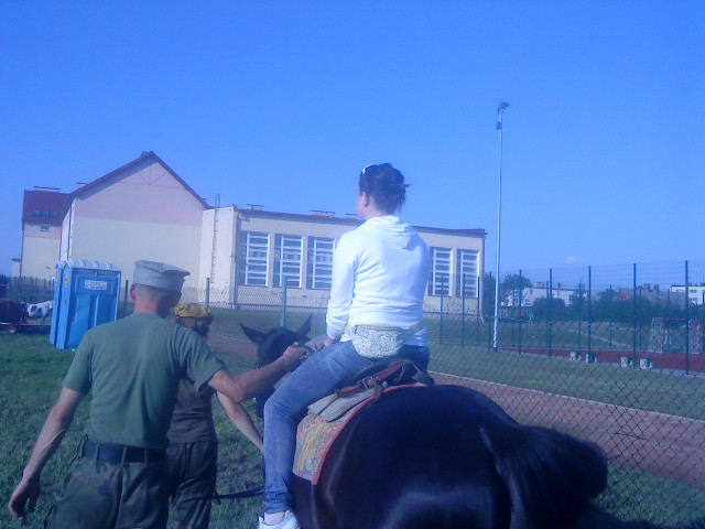 ZBROWIADA ;***