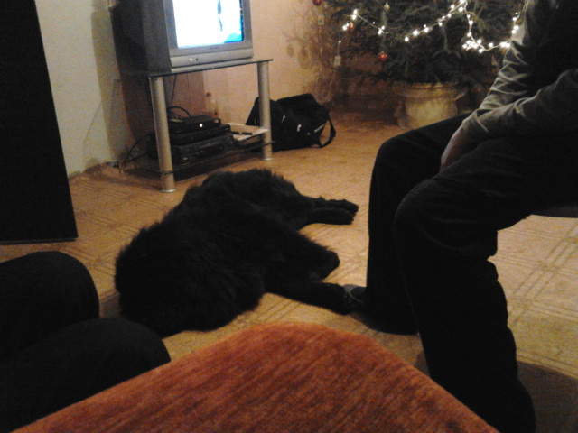 Majki.;***