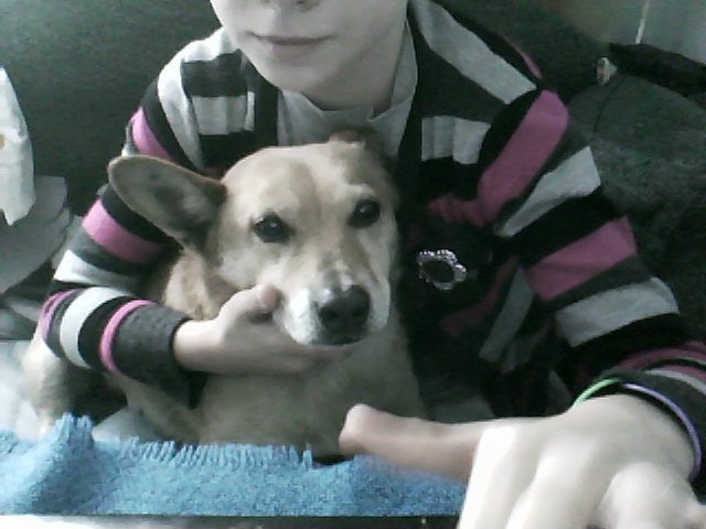 masioo