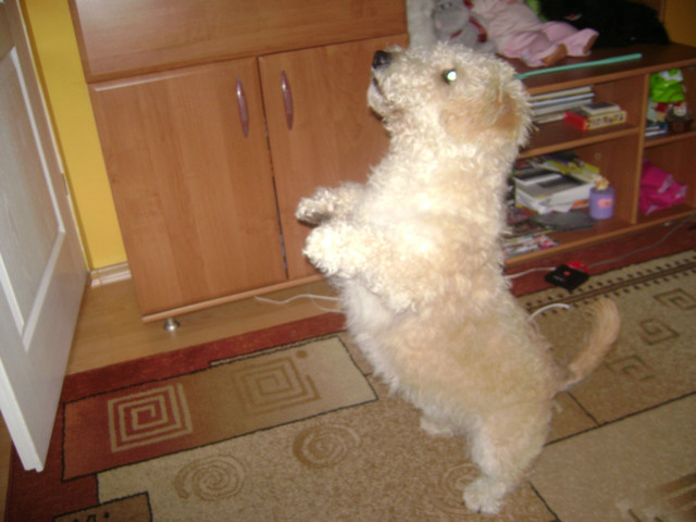 hahah :D