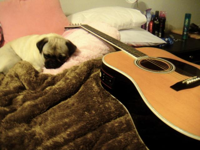 my dog and my guitar.