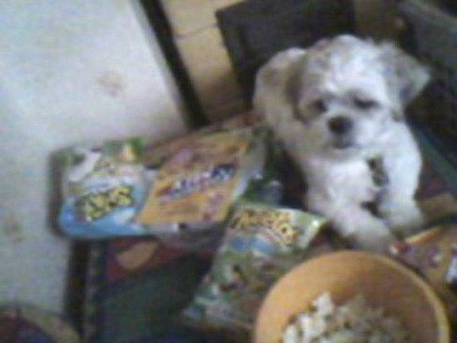 Oberacz ;d   