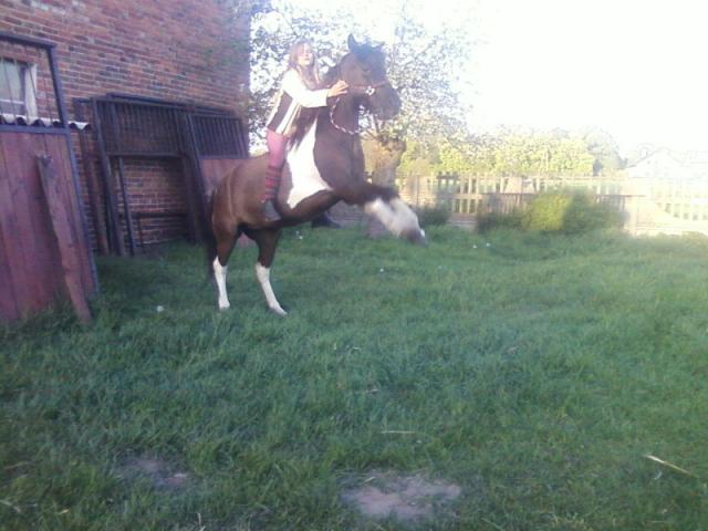 Pesia i Klaudia.///