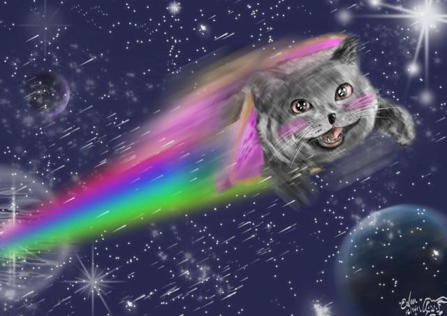 nyan cat. :3