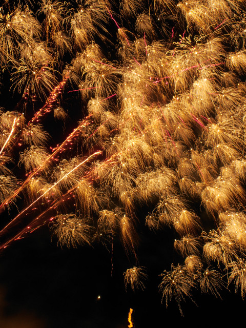 New Year!