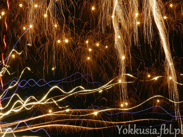 Wpis yokkusia