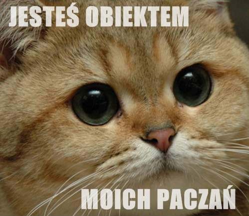 Wpis olkacituciu