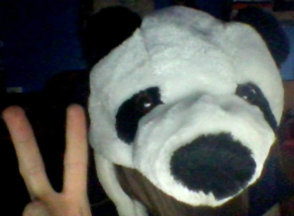Pandas !