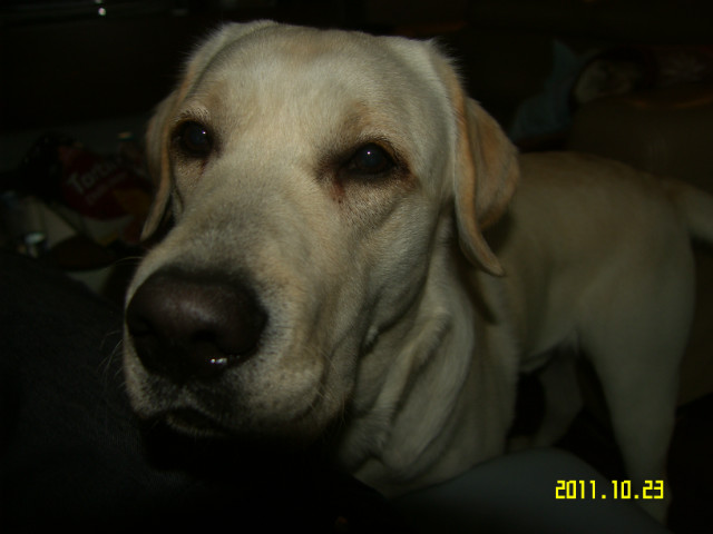 Wilson :*