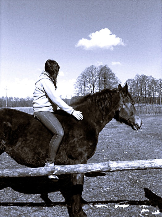 Wpis lovehorses246