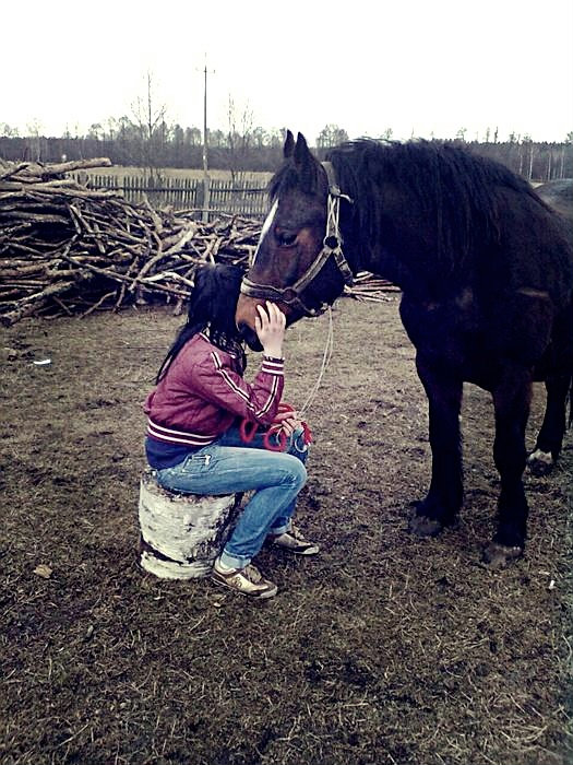 Wpis lovehorses246