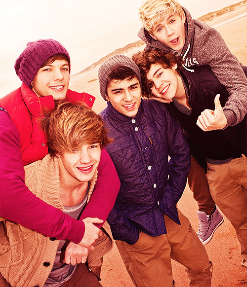Wpis 1directionn
