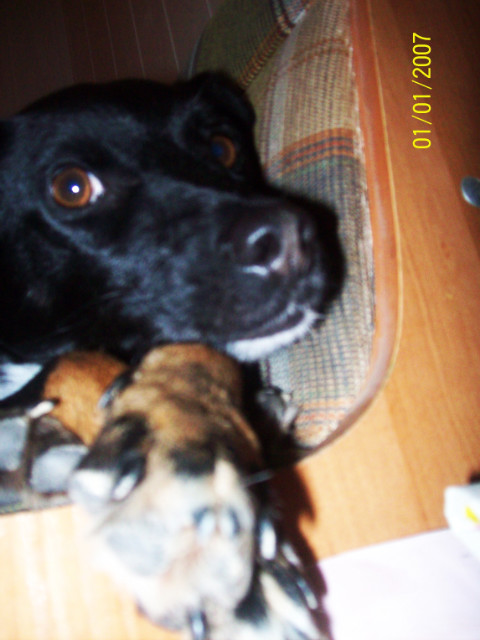 tofik ;*