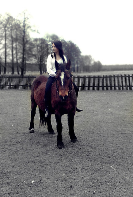 Wpis lovehorses246