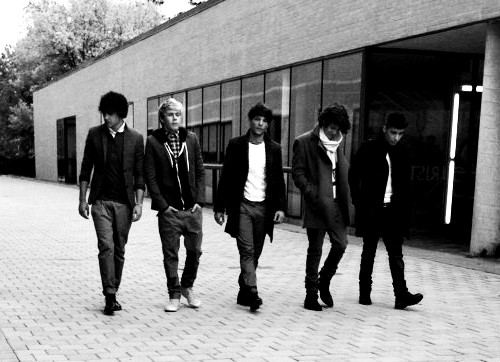 Wpis 1directionn