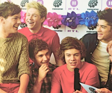 Wpis 1directionn