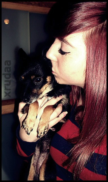Pereka ; * .