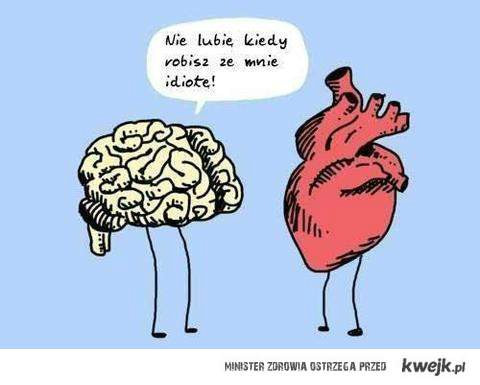 Wpis superzofiia