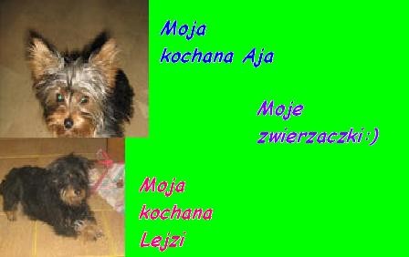 Moje zwierazki;)