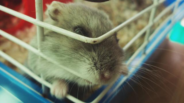 Edzio :c