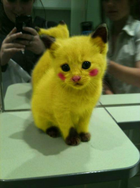 piikaczuuuu !