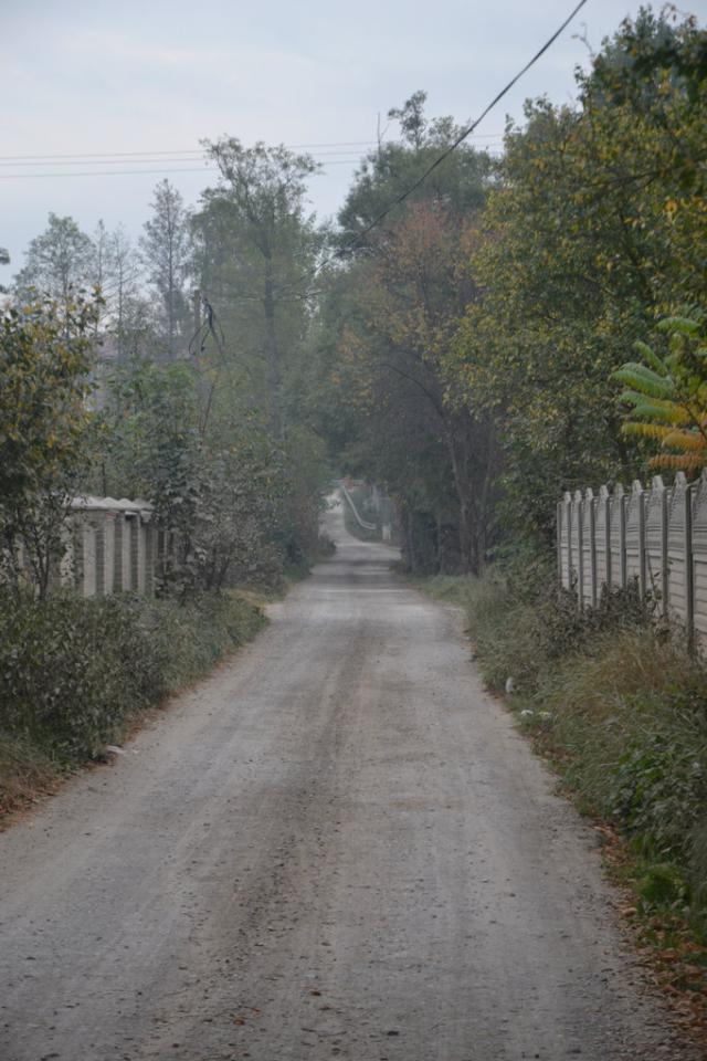 008. Bezsilno