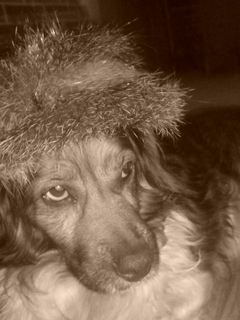 Mj Max :)