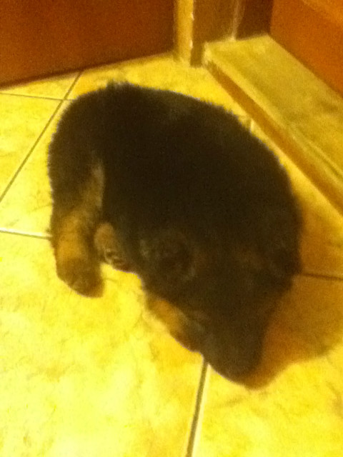 Misia. 