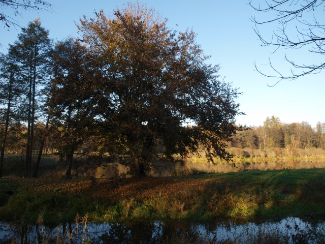 Eko-bajki