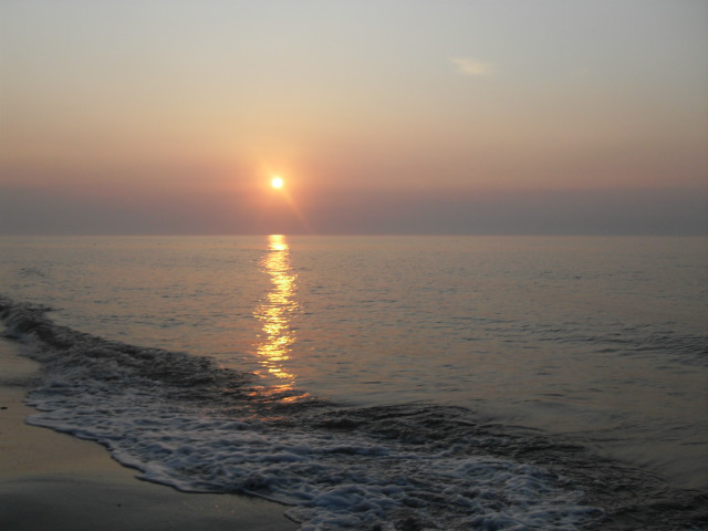 Morze 2011 