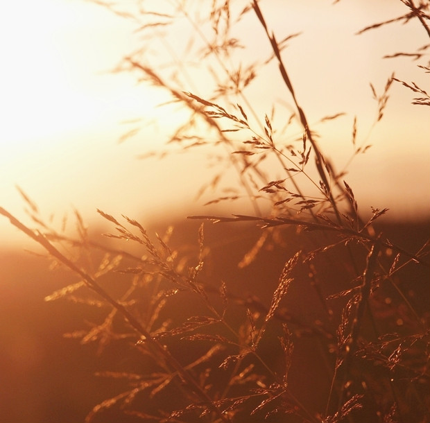 sunshine