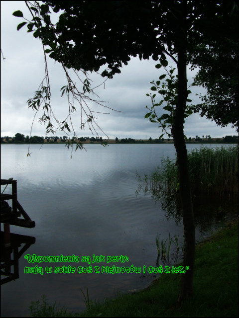 Biskupin 2011