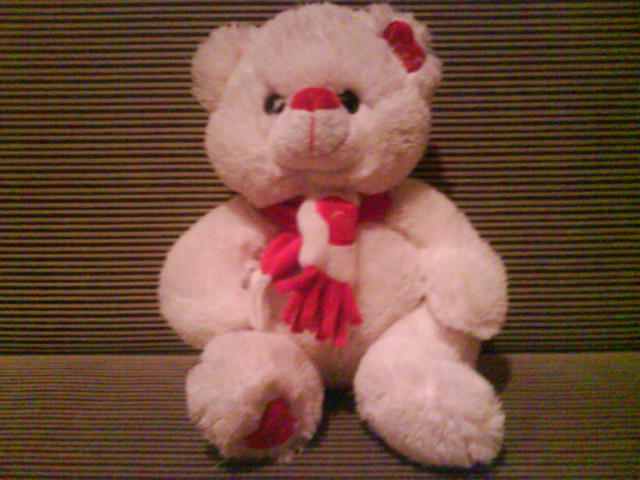 Misiek :)