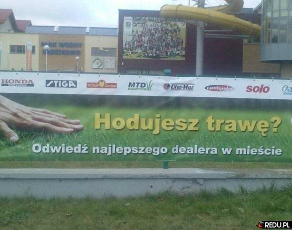 Hodujesz  traw?