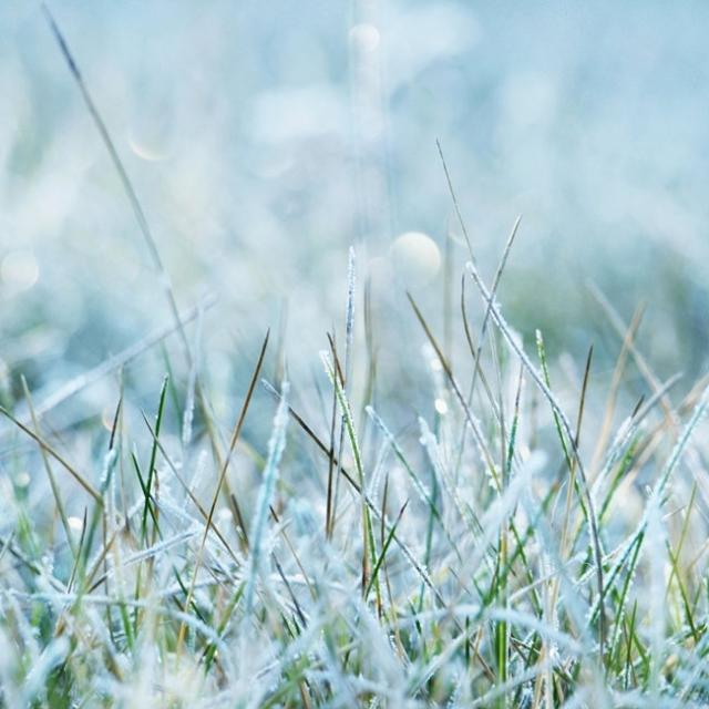 cold